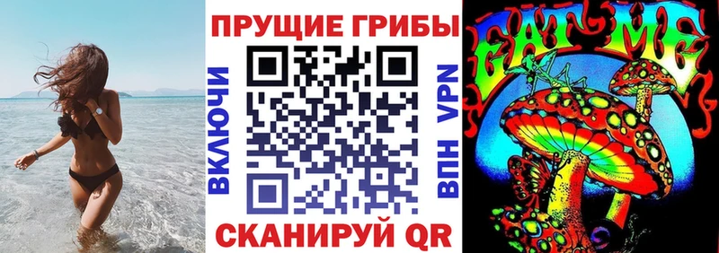 Купить закладки  Волоколамск  Галлюциногенные грибы Magic Shrooms 